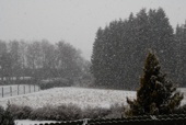 2012.01.20 Schneefall den ganzen Tag!