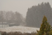 2012.02.19 Schneeschauer und Sonenschein. Um 0 Grad.