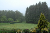 2012.06.16 Diesig und Dauerregen den ganzen Tag bei 13 Grad.