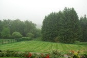 2012.08.25 Neben schnen Tagen, heute wieder den ganzen Tag Regen.