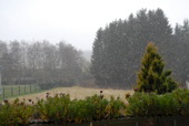 2012.11.29 Nebel Nieselregen Schneeschauer Frost am Abend