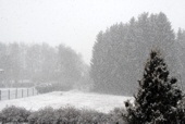 2013.01.14 Bei Minus 6 Grad starker Schneefall