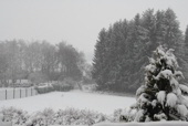 2013.03.12 Es schneit ununterbrochen bei Minus 6,5 Grad.