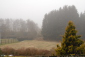 2013.04.09 Morgens Nebel bei Plus 3 Grad, dann Sonnenschein bei 6 Grad.