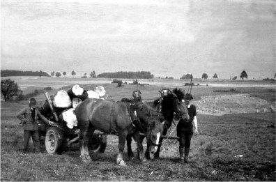 Langholztransport. Josef Berlingen sen. (links) und Sohn Josef mit dem Schweren Pferdegespann Repro: Archiv Hejo Mies