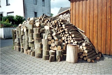 Am Brandholz wärmt man sich dreimal: Wintervorrat 1998 Foto : Autor